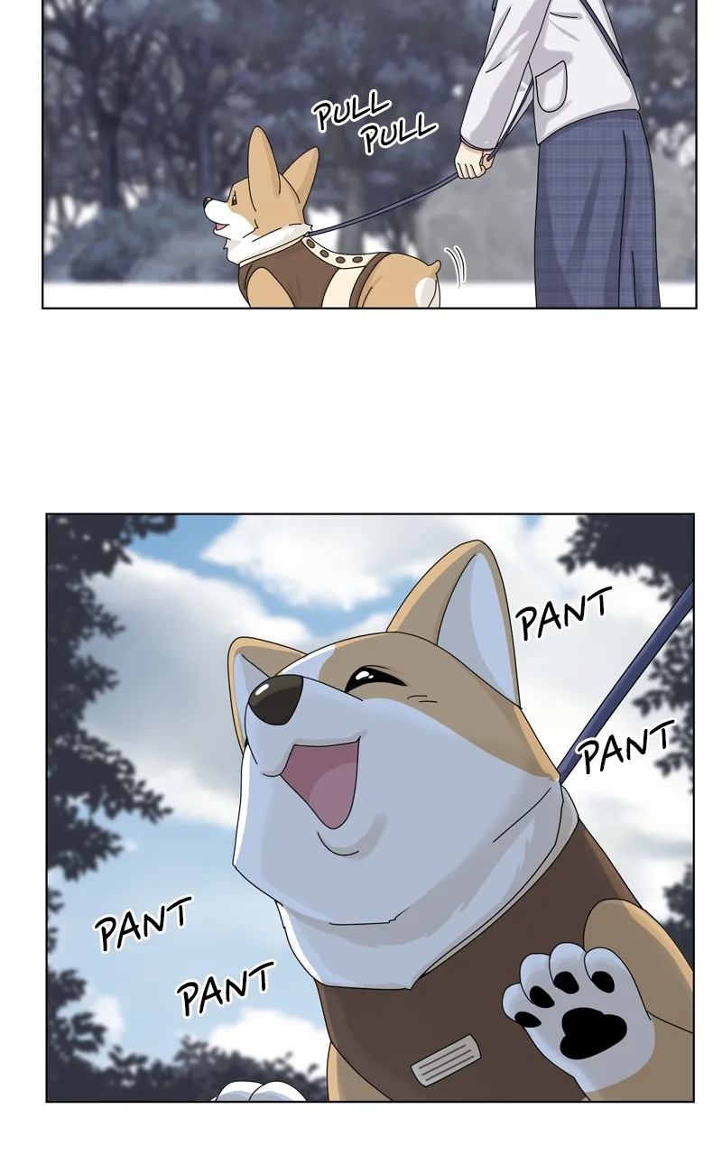 Read The Dog Diaries chapter 141 image 72 on Lezhin