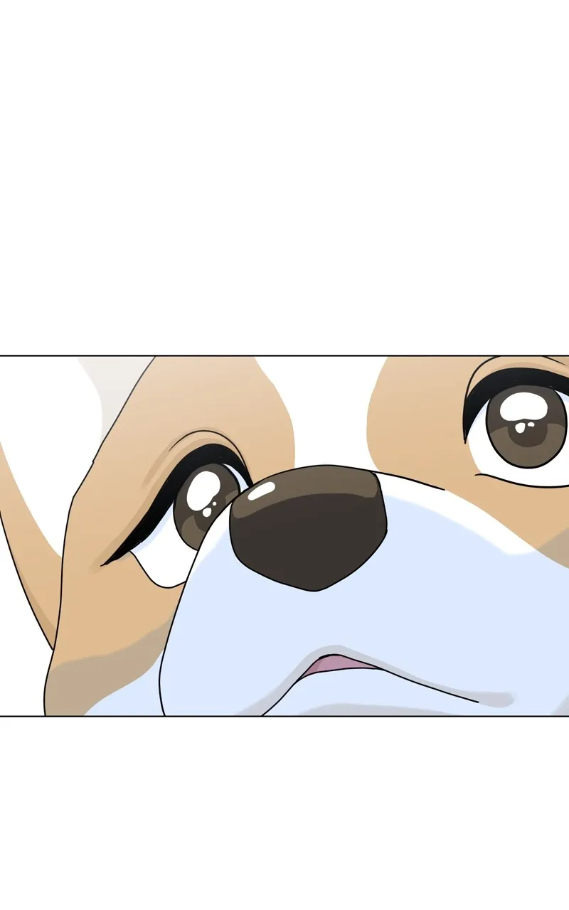 Read The Dog Diaries chapter 141 image 74 on Lezhin