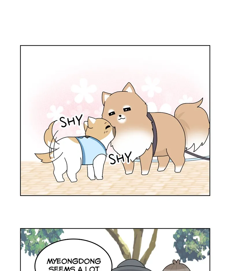 Read The Dog Diaries chapter 15 image 0 on Lezhin