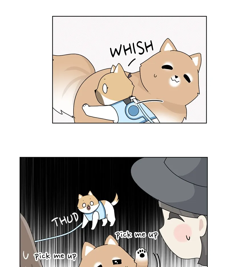 Read The Dog Diaries chapter 15 image 2 on Lezhin