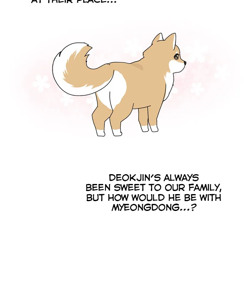 Read The Dog Diaries chapter 15 image 6 on Lezhin