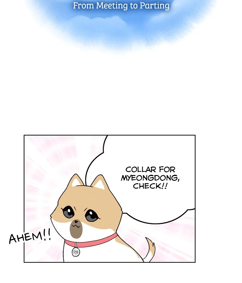 Read The Dog Diaries chapter 15 image 9 on Lezhin