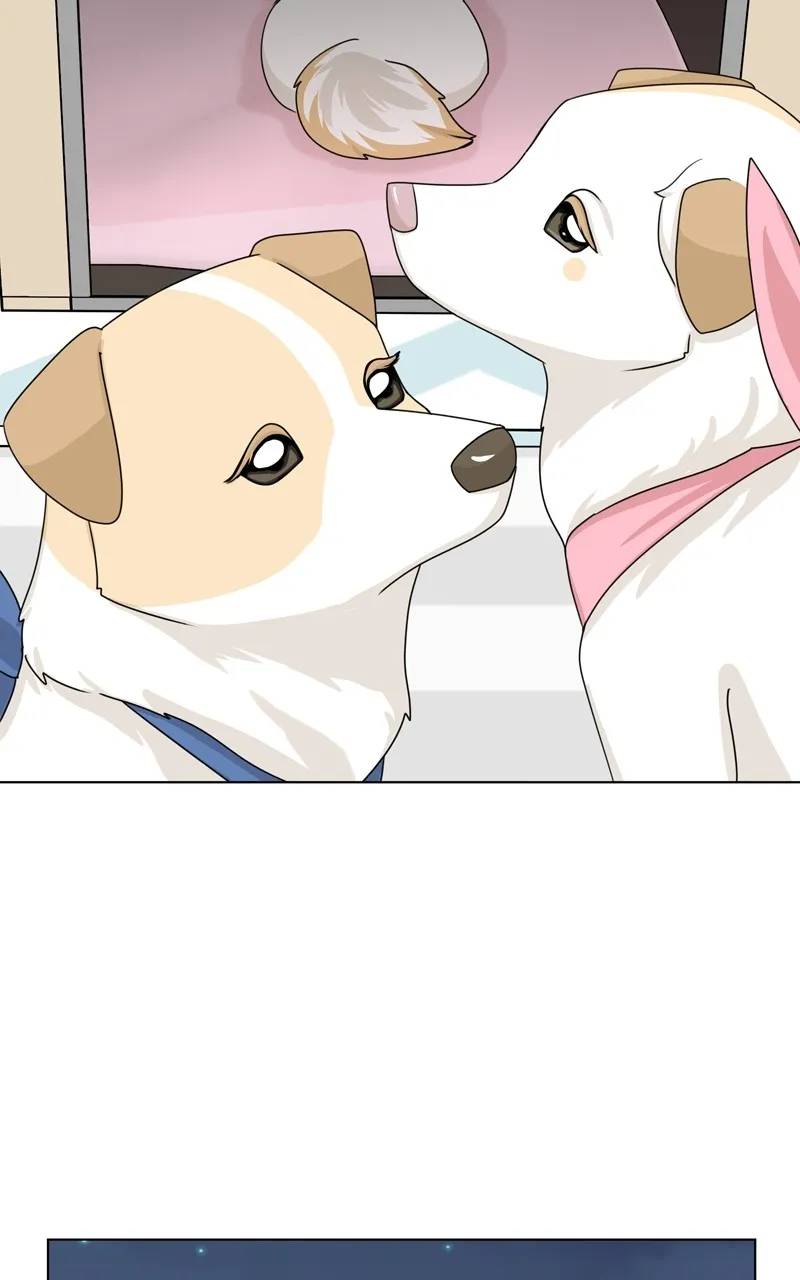 Read The Dog Diaries chapter 154 image 24 on Lezhin