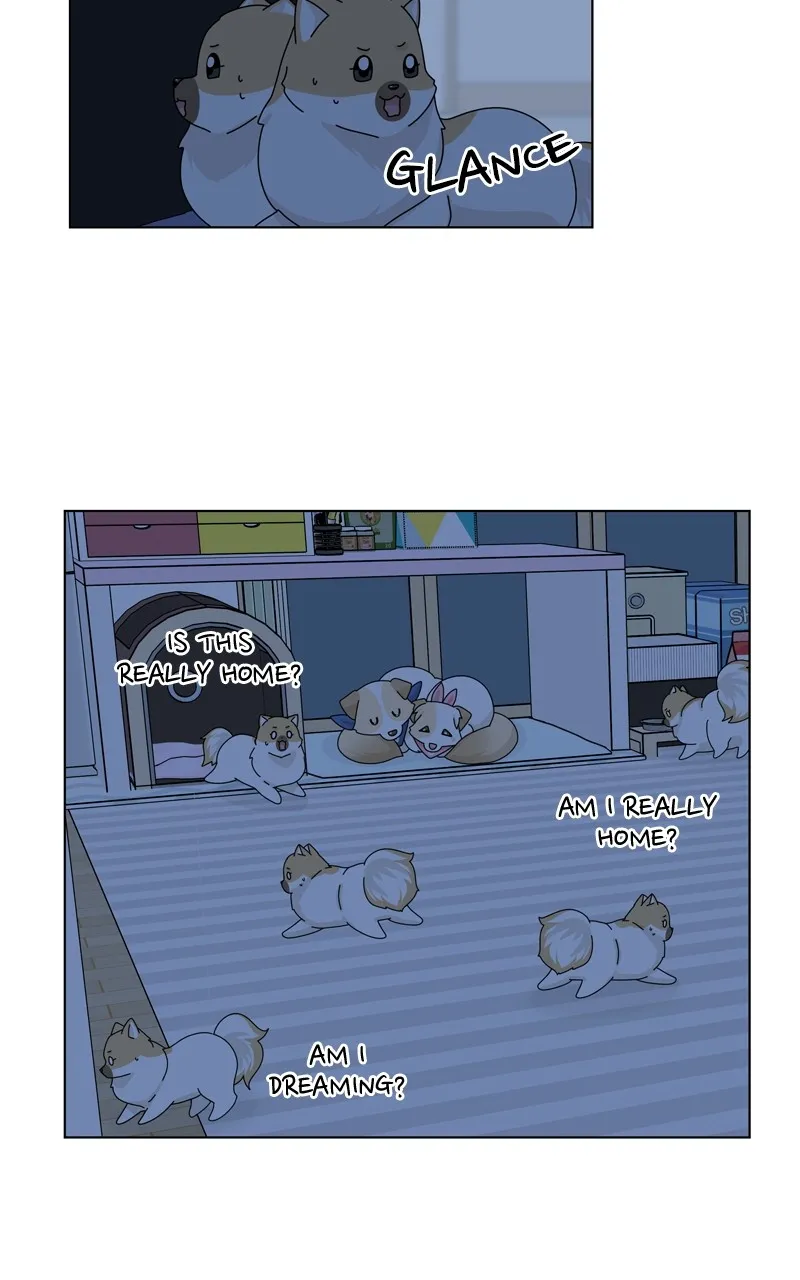 Read The Dog Diaries chapter 154 image 26 on Lezhin