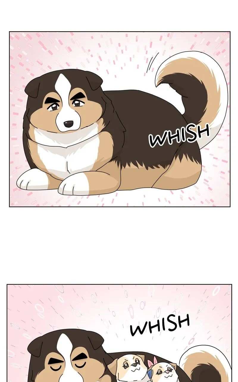 Read The Dog Diaries chapter 154 image 32 on Lezhin
