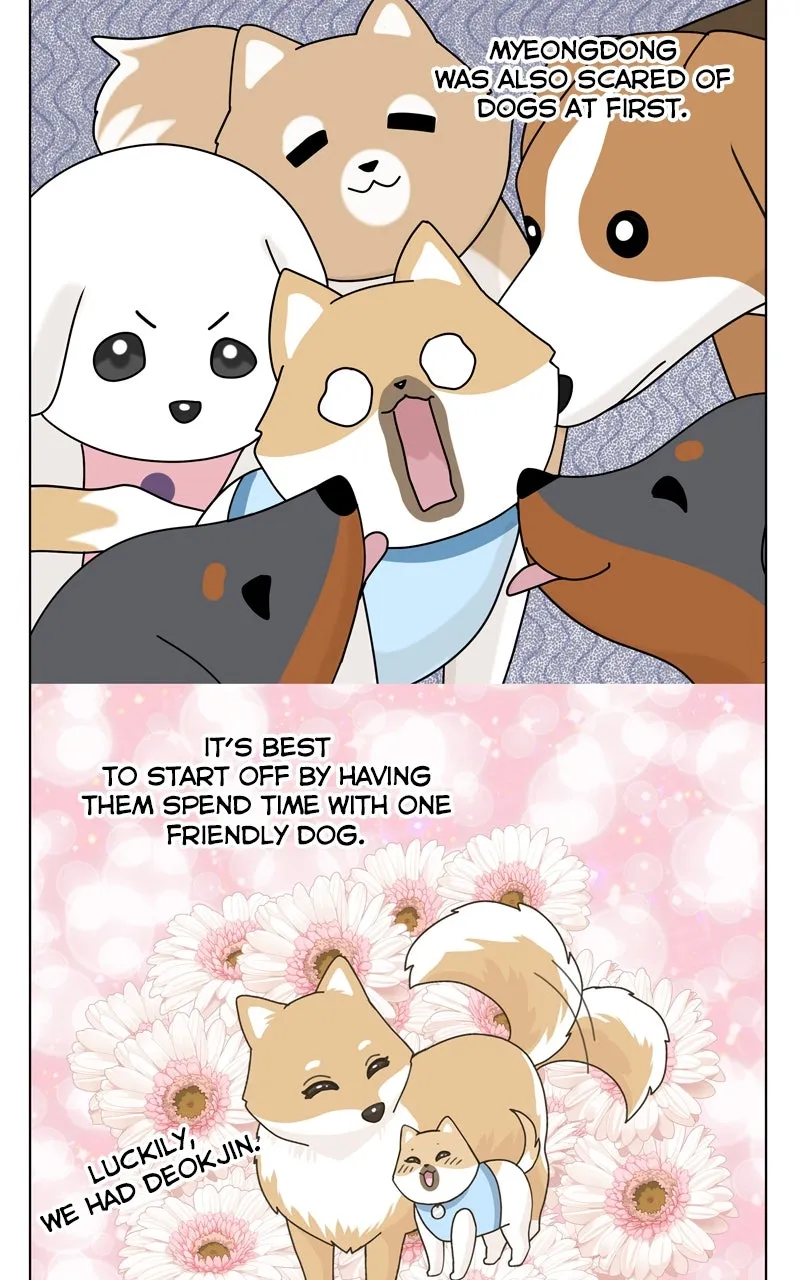 Read The Dog Diaries chapter 154 image 53 on Lezhin