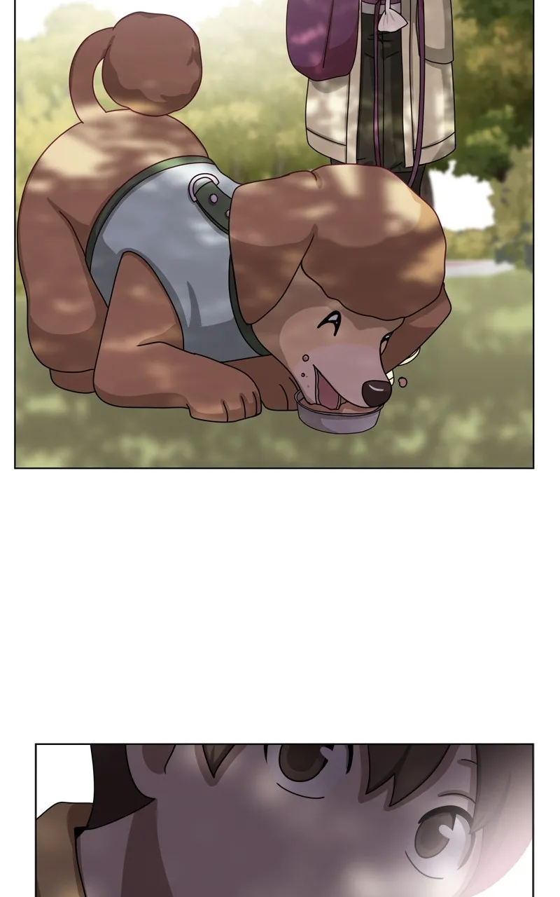 Read The Dog Diaries chapter 154 image 62 on Lezhin