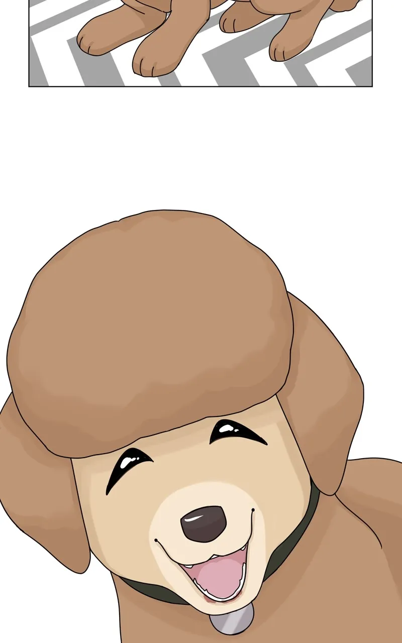 Read The Dog Diaries chapter 159 image 35 on Lezhin