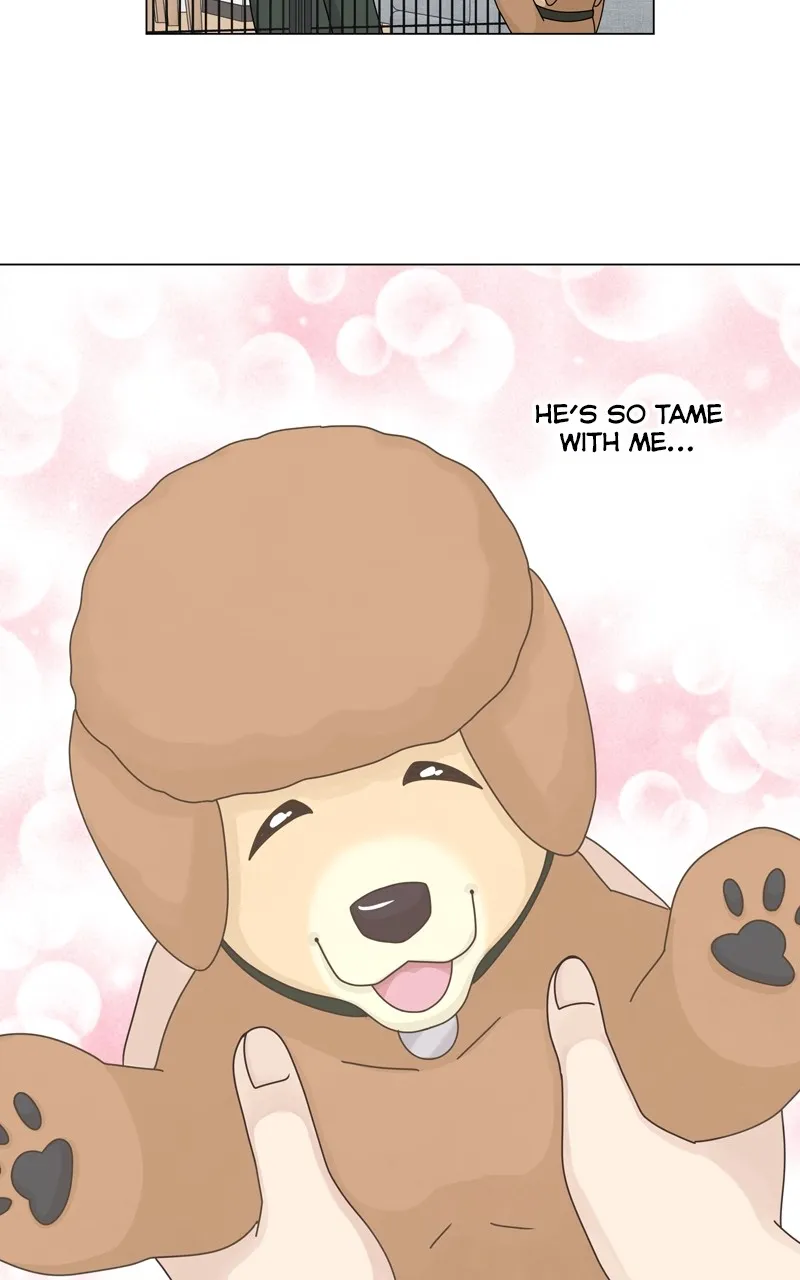 Read The Dog Diaries chapter 160 image 4 on Lezhin