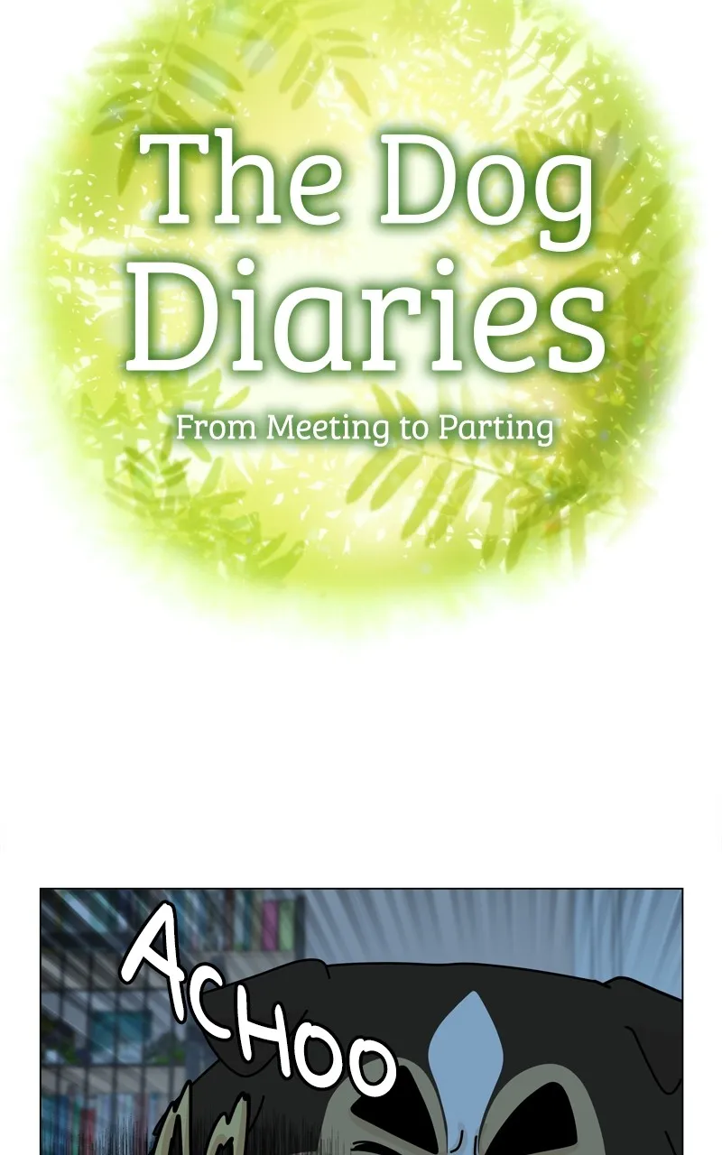 Read The Dog Diaries chapter 164 image 2 on Lezhin