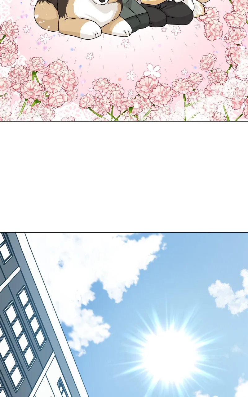 Read The Dog Diaries chapter 165 image 34 on Lezhin