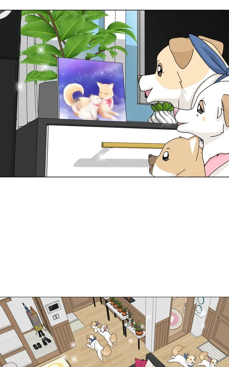 Read The Dog Diaries chapter 165 image 47 on Lezhin