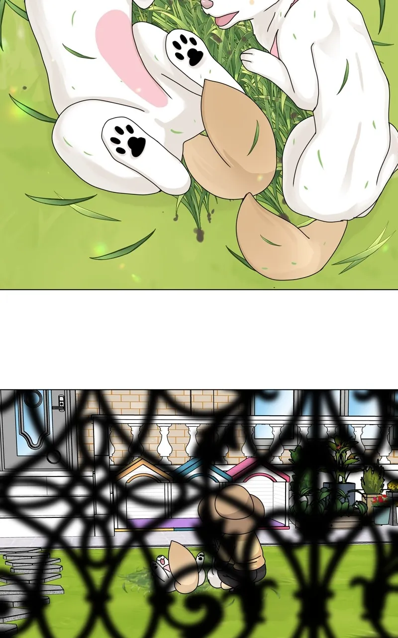 Read The Dog Diaries chapter 165 image 70 on Lezhin