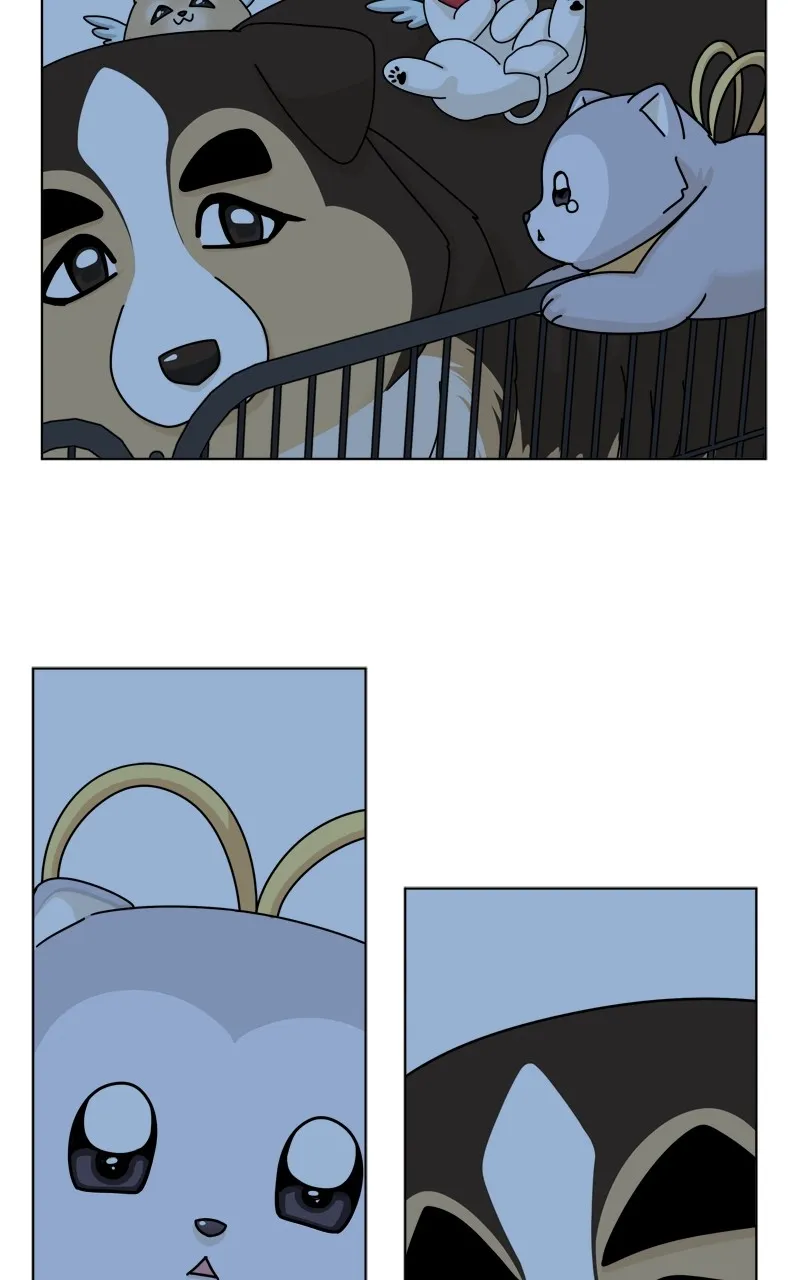 Read The Dog Diaries chapter 174 image 12 on Lezhin