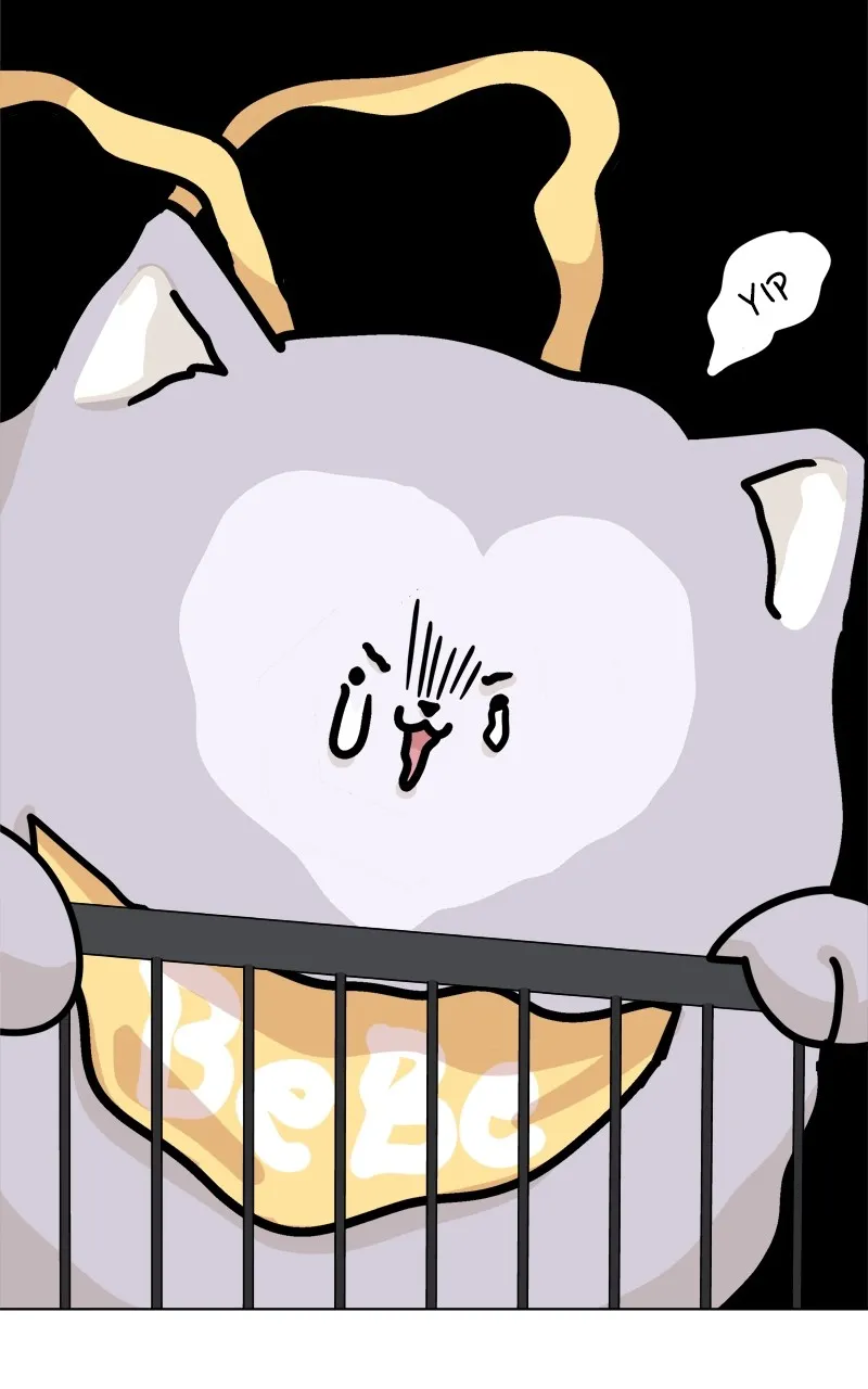 Read The Dog Diaries chapter 174 image 9 on Lezhin