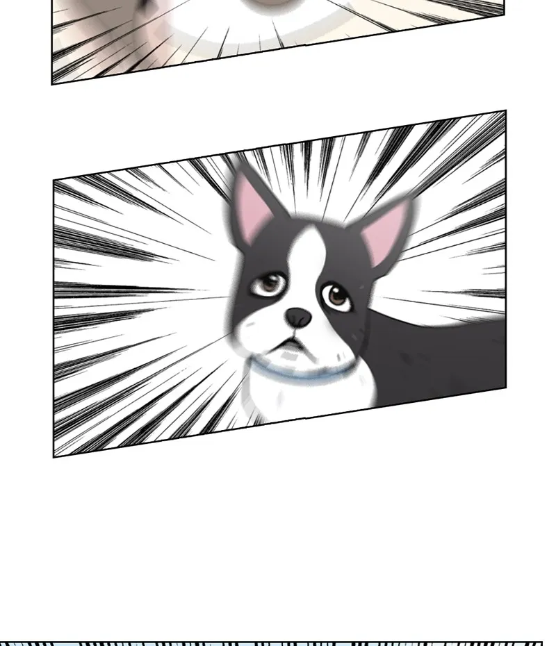 Read The Dog Diaries chapter 19 image 13 on Lezhin