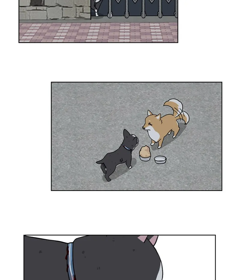 Read The Dog Diaries chapter 19 image 27 on Lezhin
