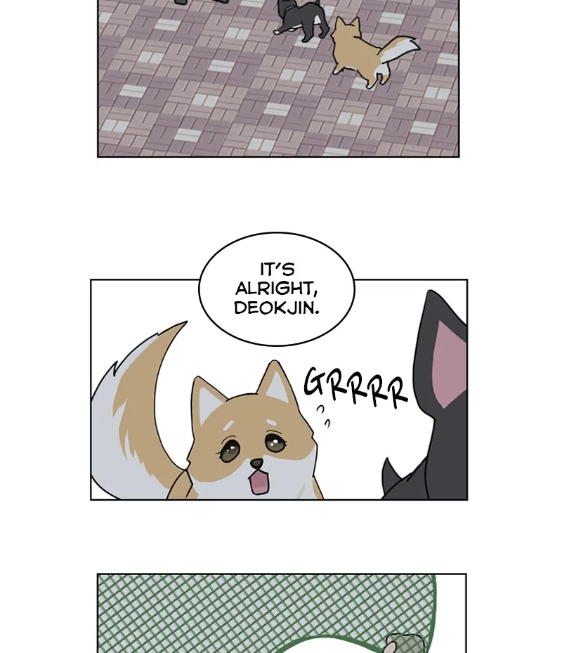 Read The Dog Diaries chapter 19 image 30 on Lezhin