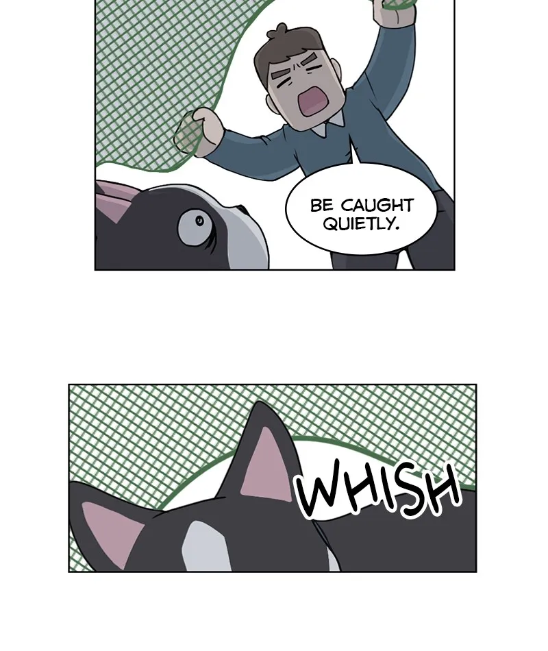 Read The Dog Diaries chapter 19 image 31 on Lezhin