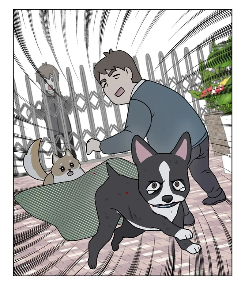 Read The Dog Diaries chapter 19 image 32 on Lezhin