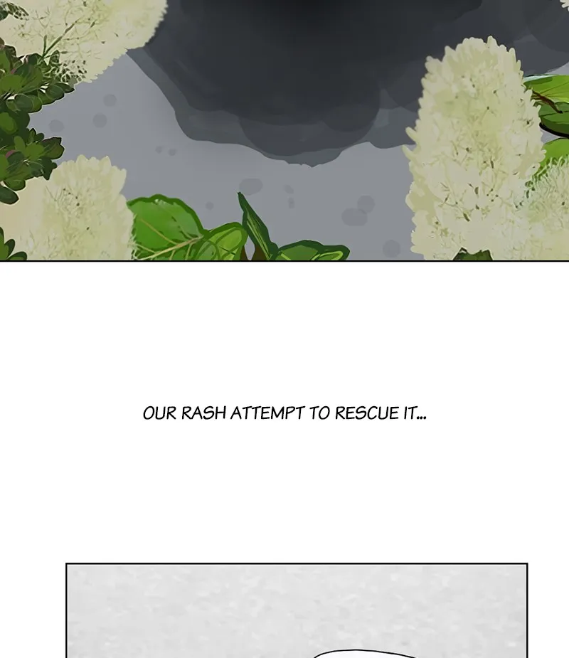 Read The Dog Diaries chapter 19 image 35 on Lezhin