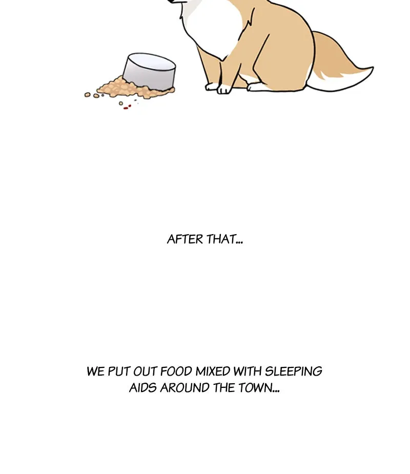 Read The Dog Diaries chapter 19 image 37 on Lezhin