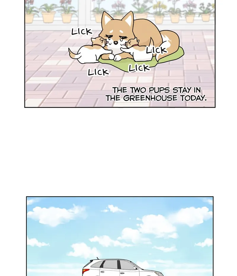 Read The Dog Diaries chapter 19 image 6 on Lezhin
