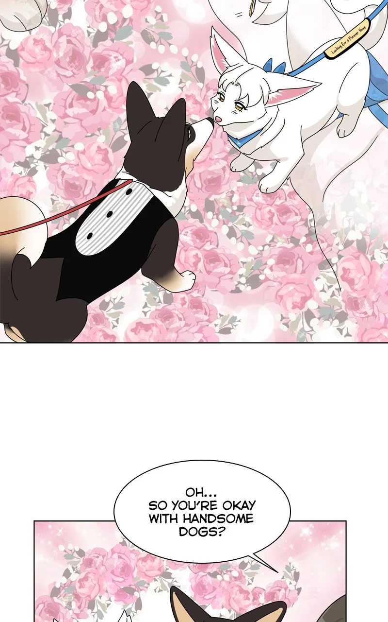 Read The Dog Diaries chapter 202 image 9 on Lezhin