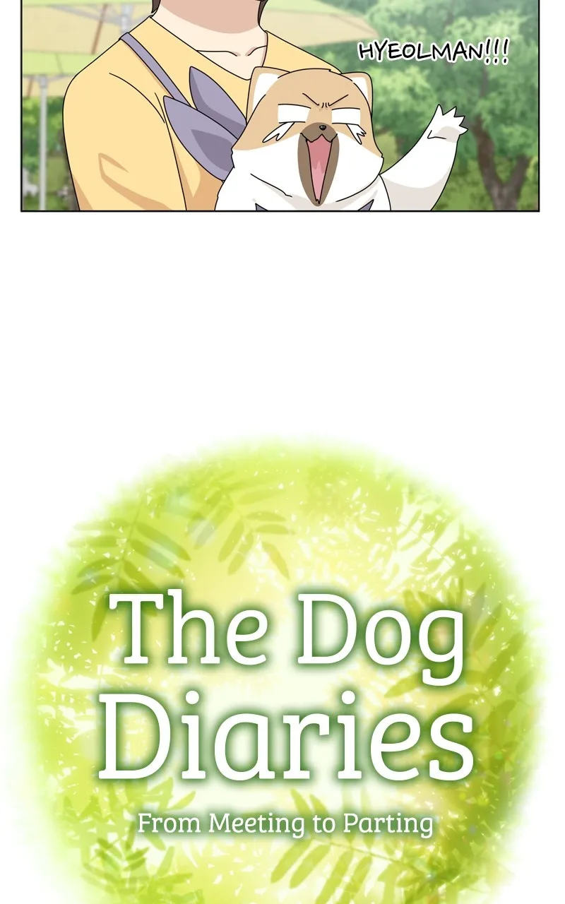 Read The Dog Diaries chapter 207 image 13 on Lezhin
