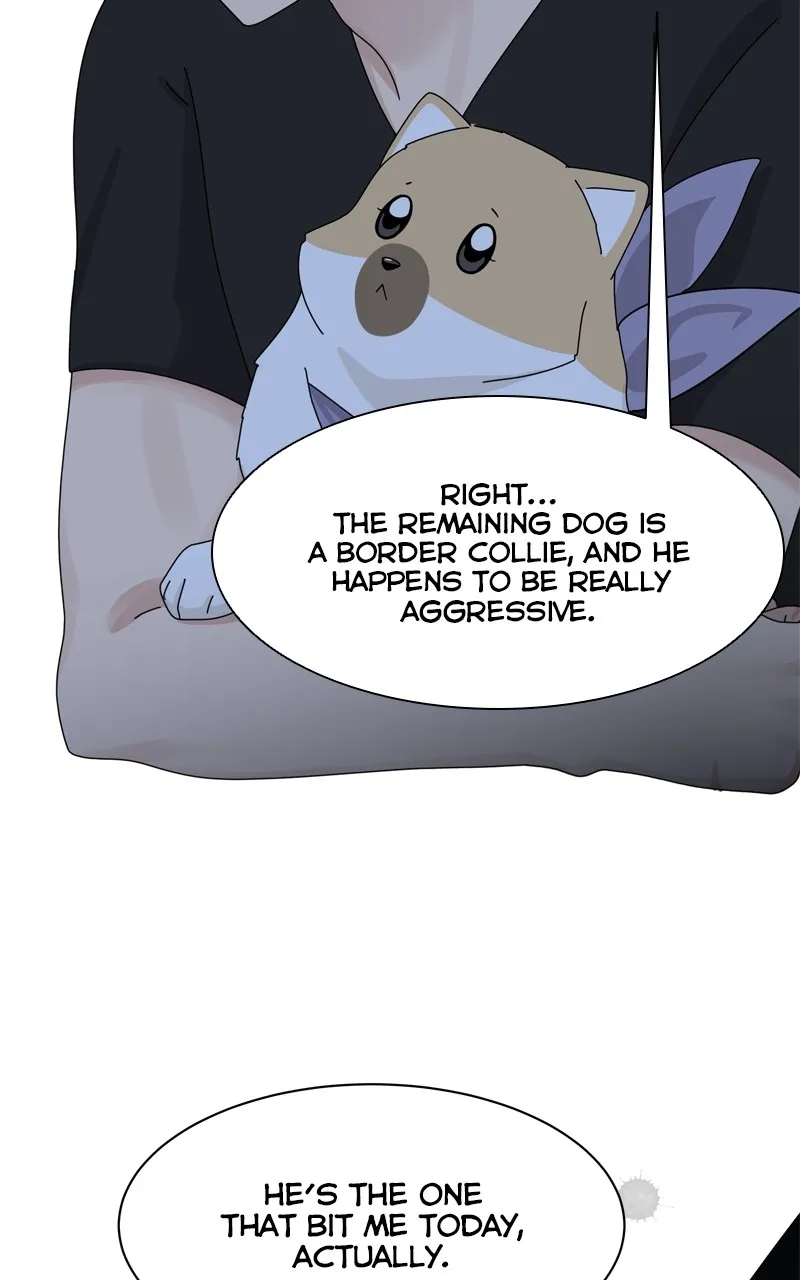 Read The Dog Diaries chapter 207 image 61 on Lezhin