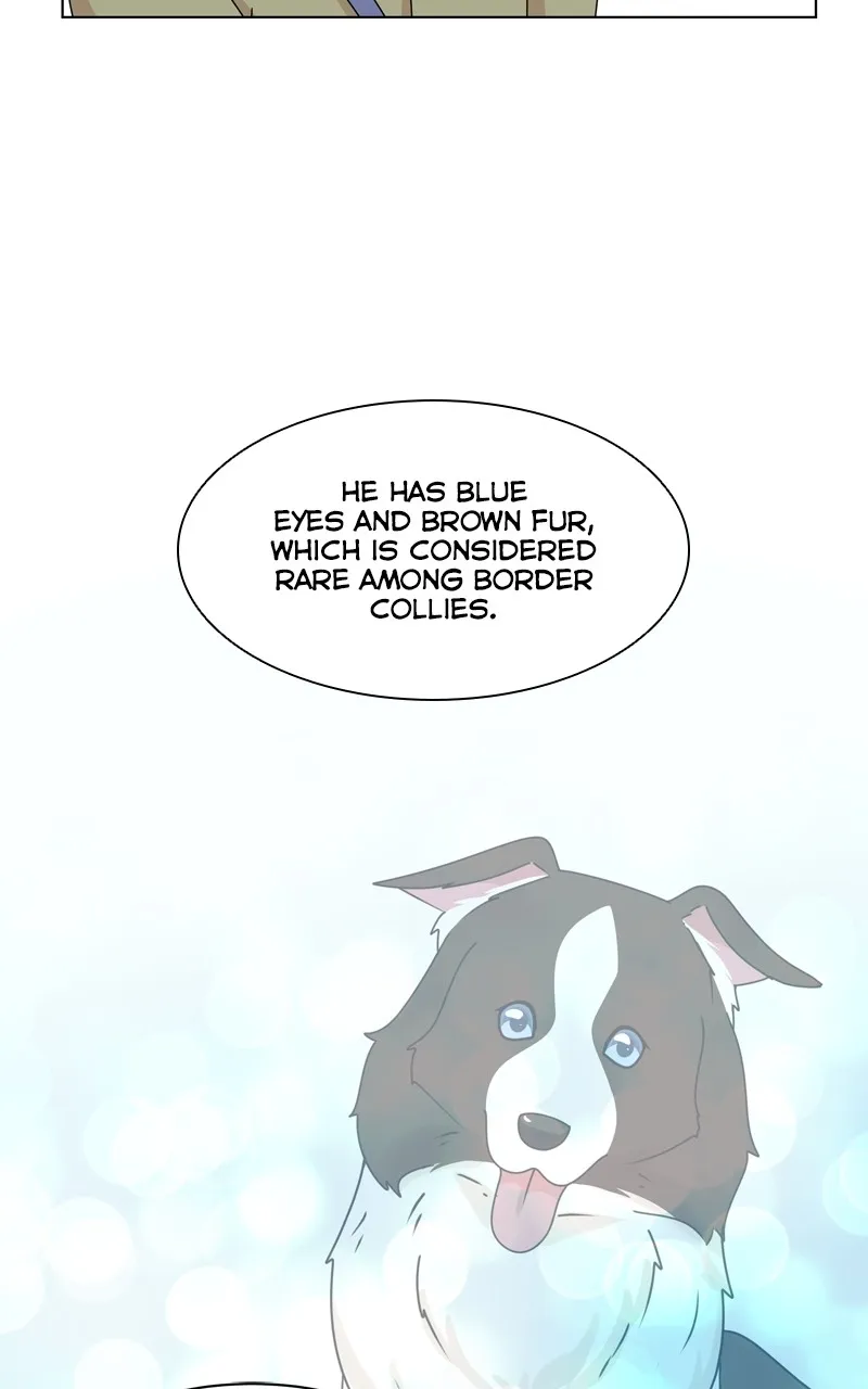 Read The Dog Diaries chapter 207 image 65 on Lezhin