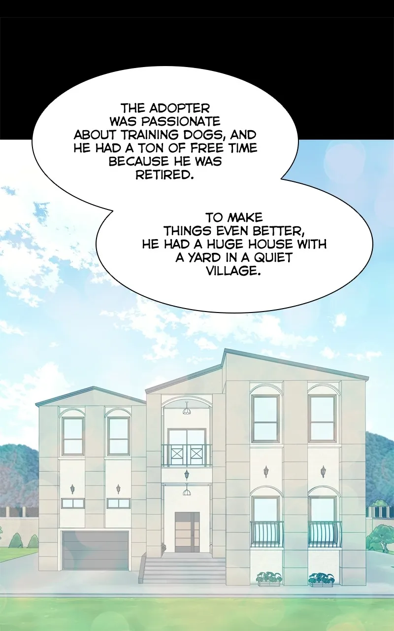 Read The Dog Diaries chapter 207 image 68 on Lezhin