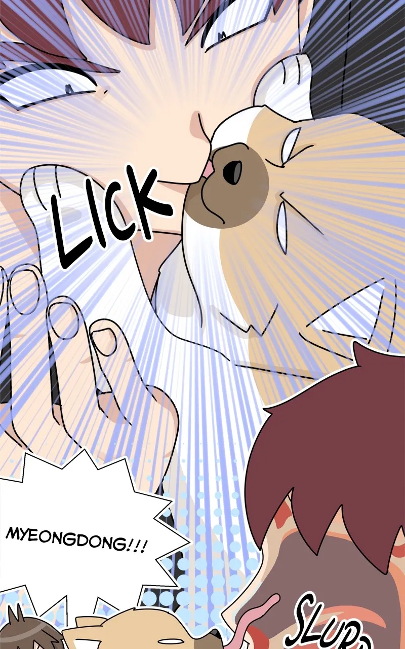 Read The Dog Diaries chapter 208 image 32 on Lezhin
