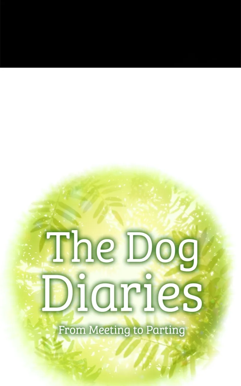 Read The Dog Diaries chapter 208 image 4 on Lezhin