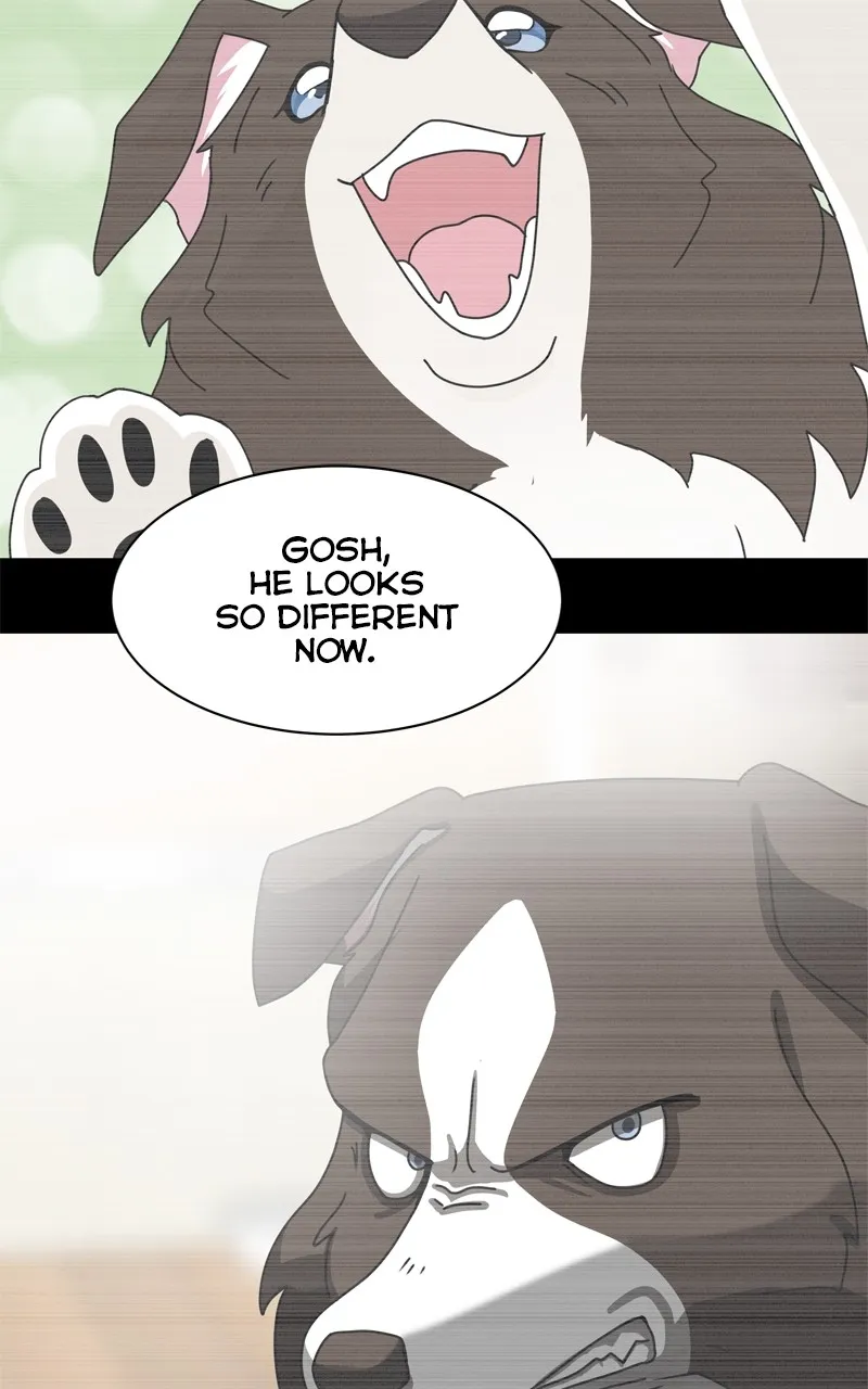 Read The Dog Diaries chapter 208 image 58 on Lezhin