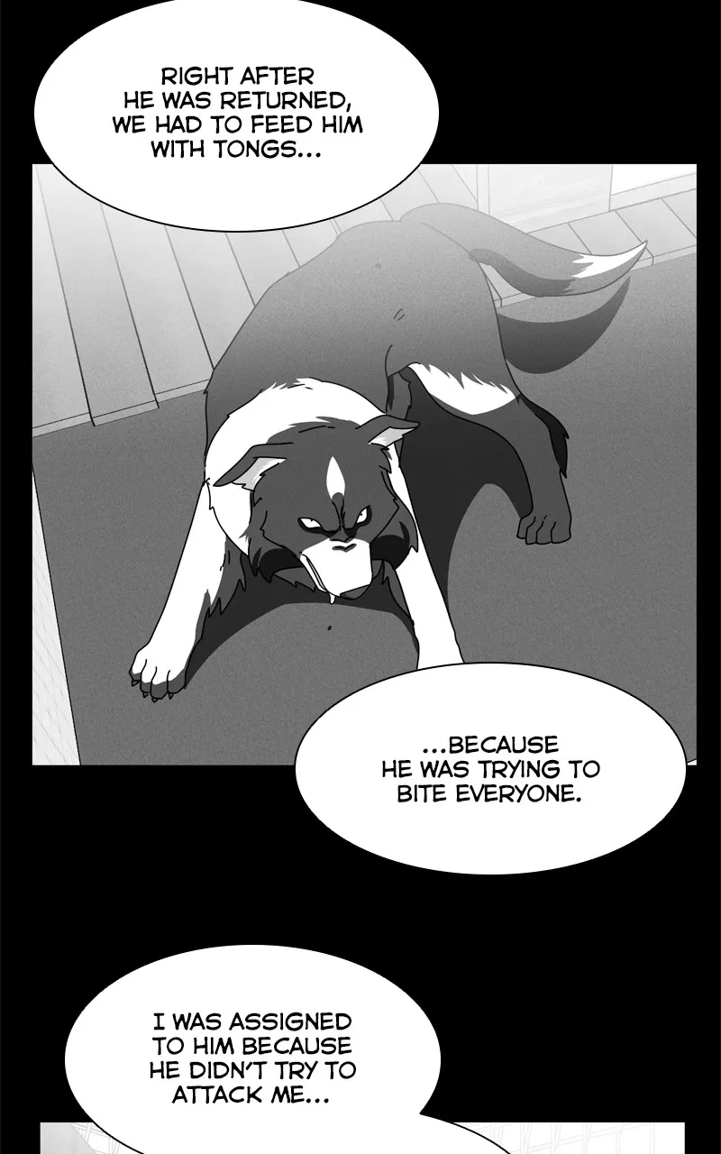 Read The Dog Diaries chapter 208 image 6 on Lezhin