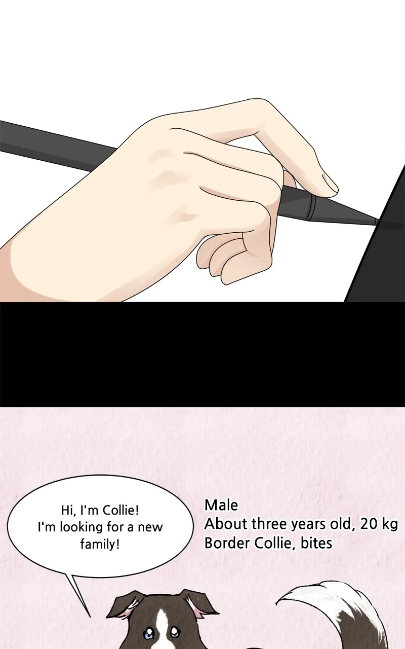 Read The Dog Diaries chapter 208 image 62 on Lezhin