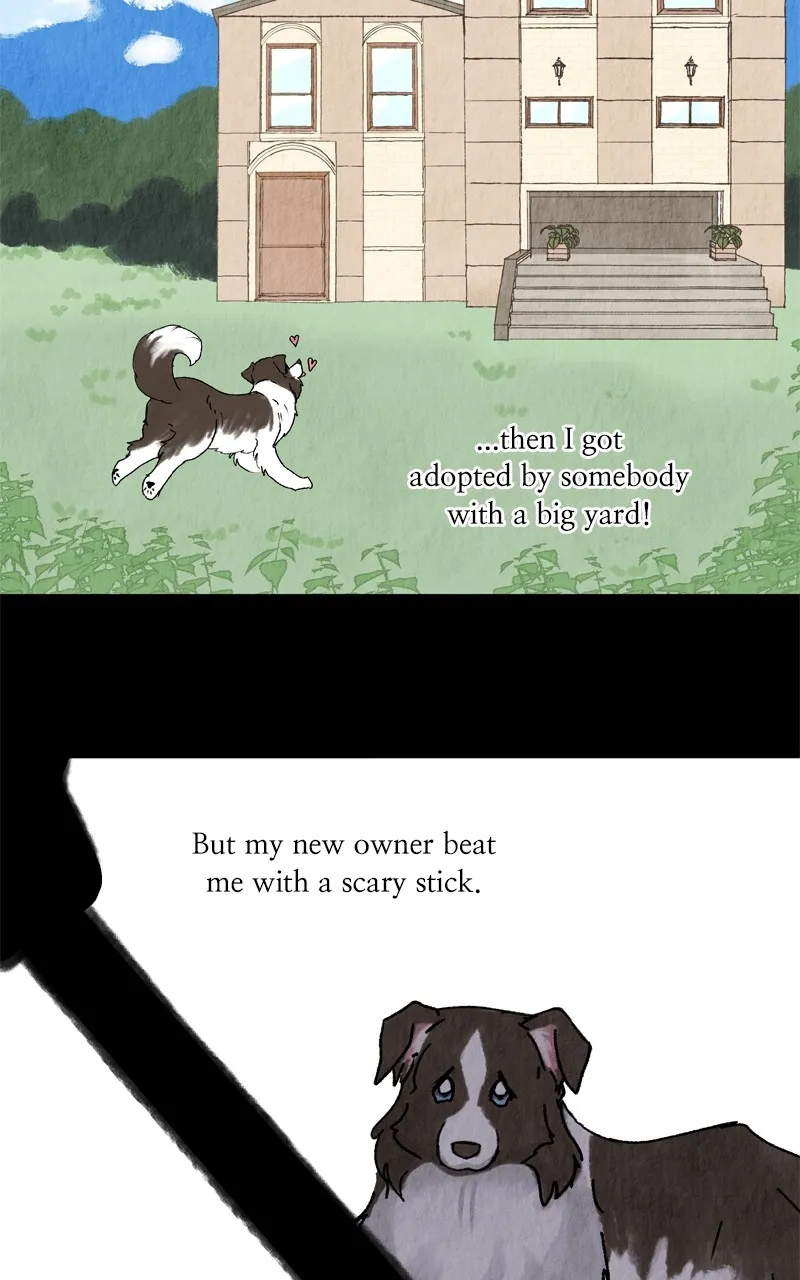 Read The Dog Diaries chapter 208 image 64 on Lezhin