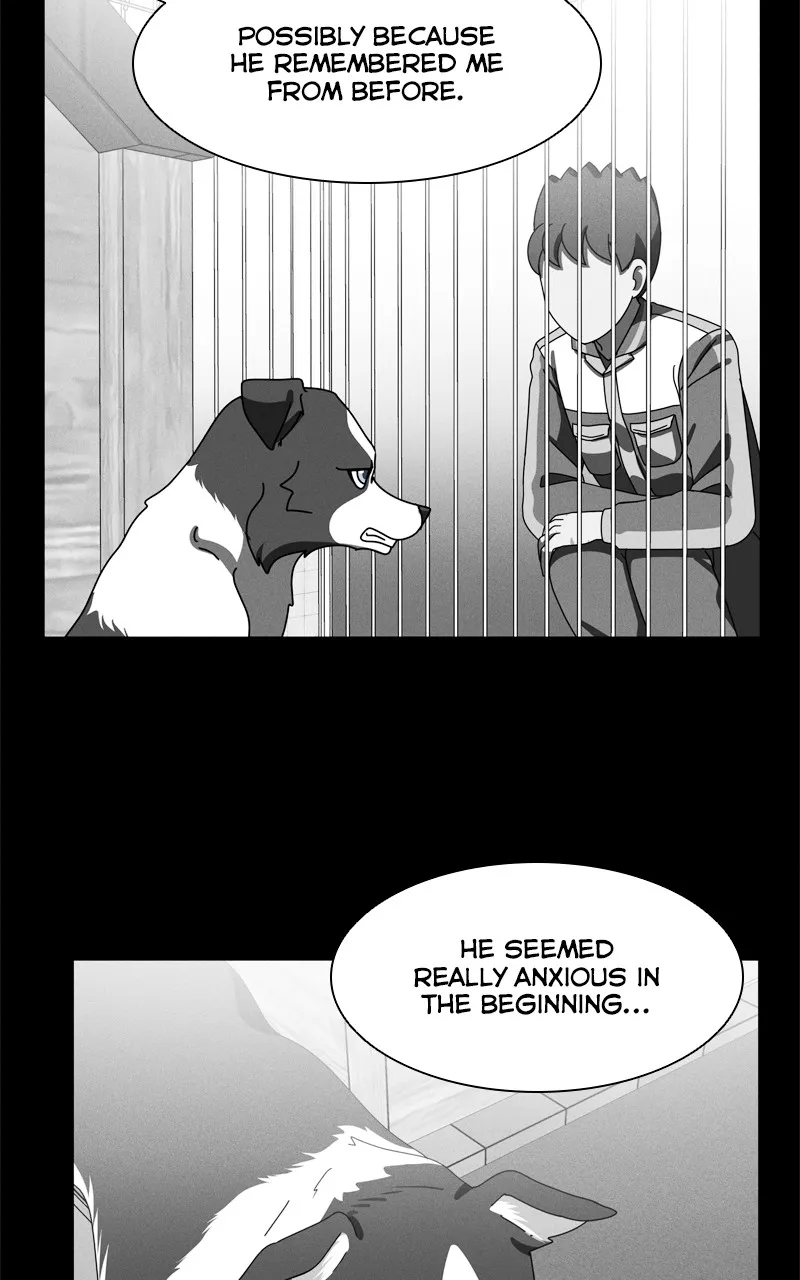 Read The Dog Diaries chapter 208 image 7 on Lezhin
