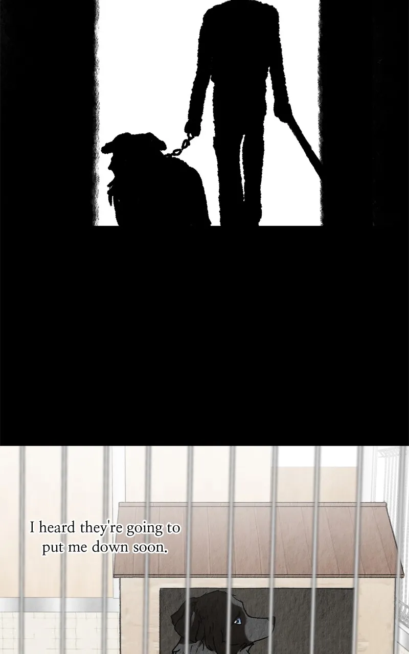 Read The Dog Diaries chapter 208 image 70 on Lezhin