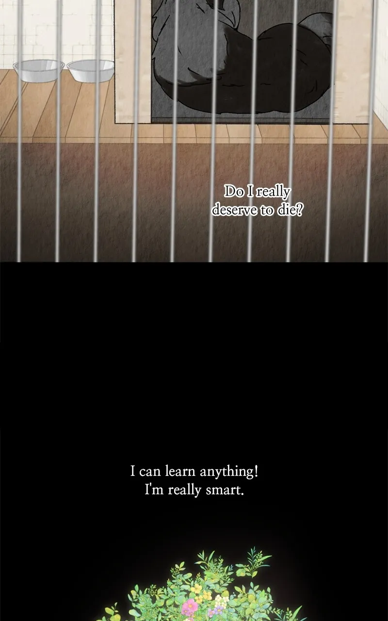 Read The Dog Diaries chapter 208 image 71 on Lezhin