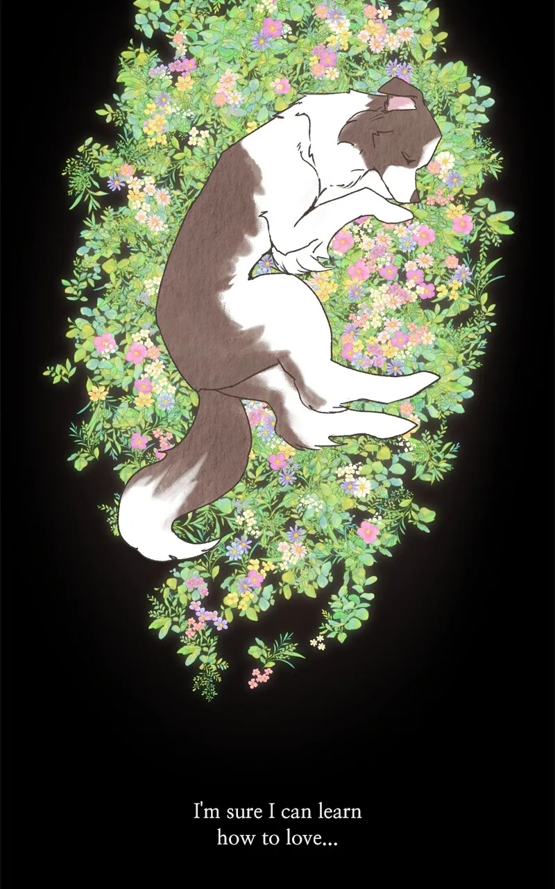 Read The Dog Diaries chapter 208 image 72 on Lezhin