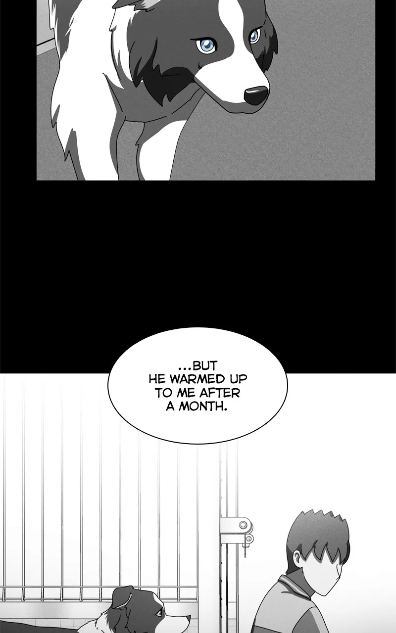 Read The Dog Diaries chapter 208 image 8 on Lezhin