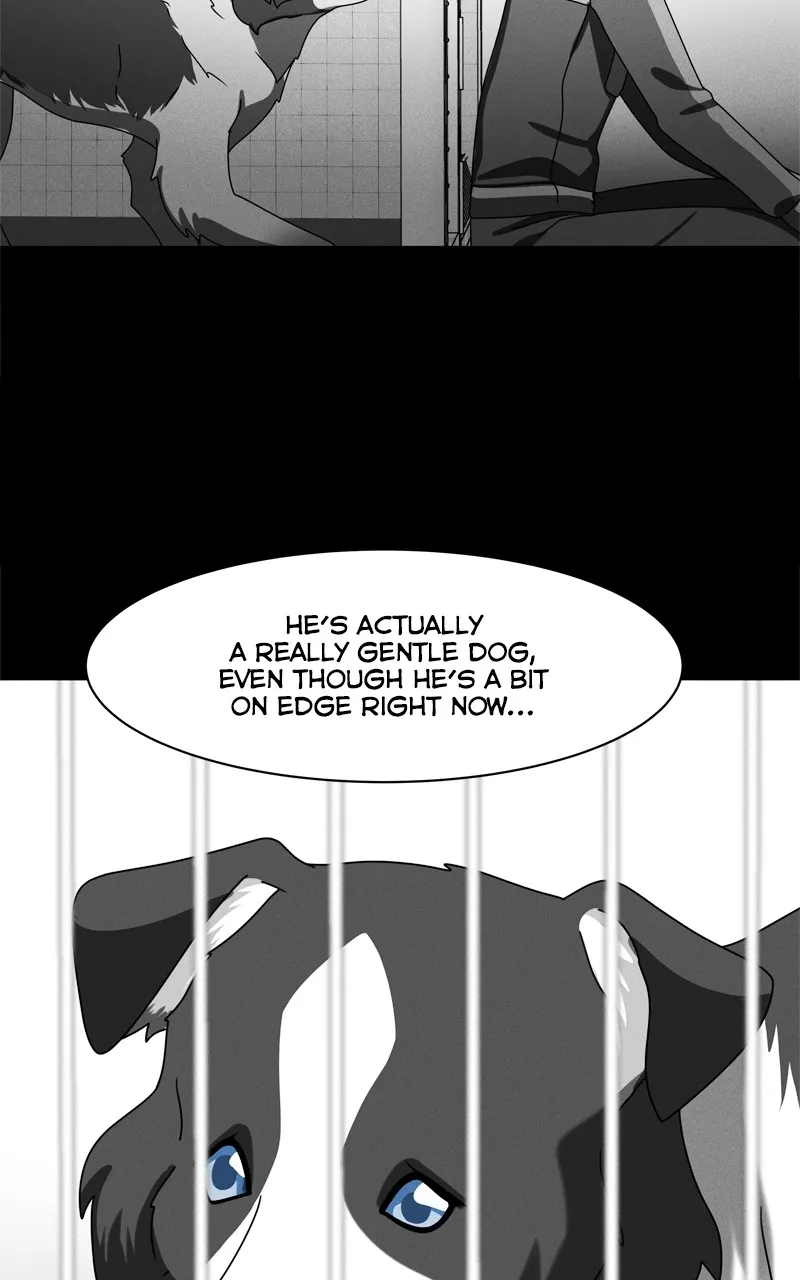 Read The Dog Diaries chapter 208 image 9 on Lezhin