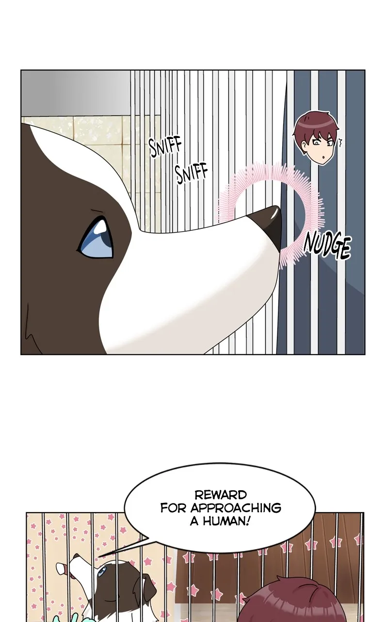 Read The Dog Diaries chapter 208 image 92 on Lezhin