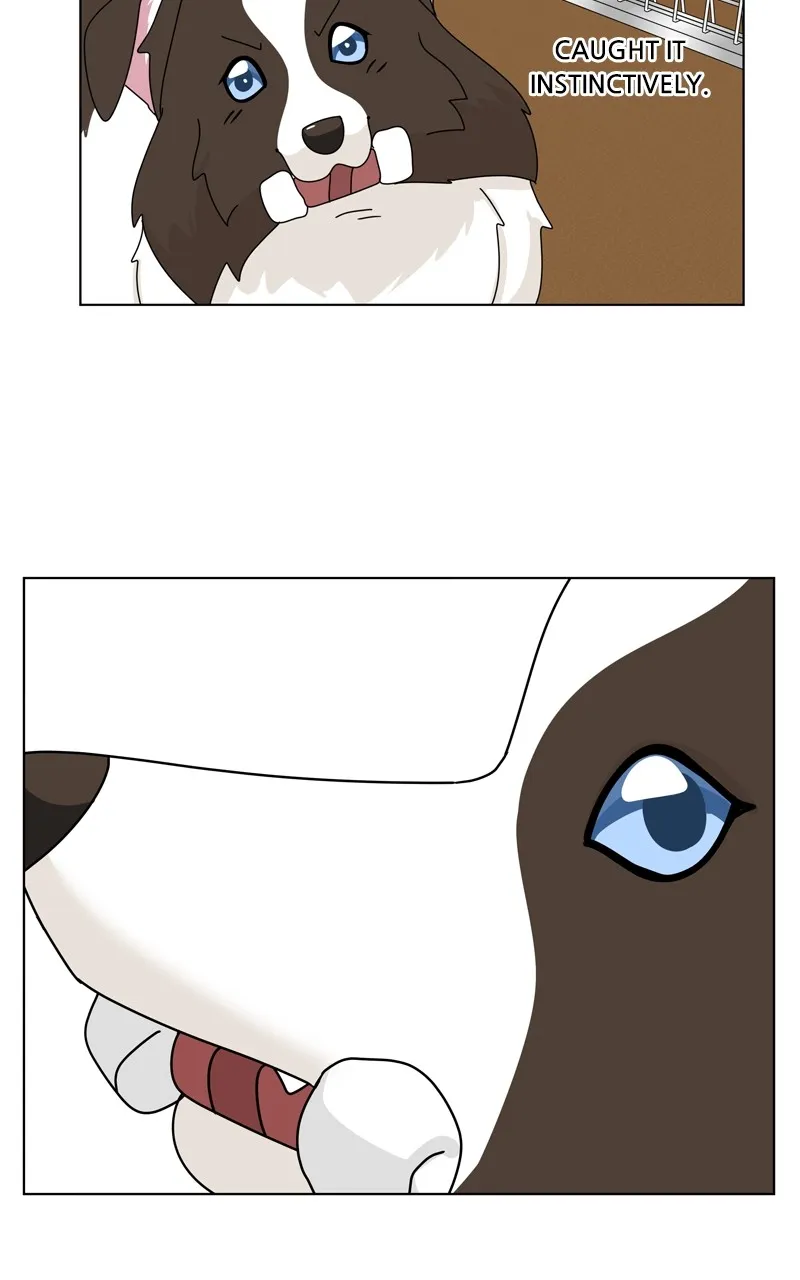 Read The Dog Diaries chapter 208 image 94 on Lezhin