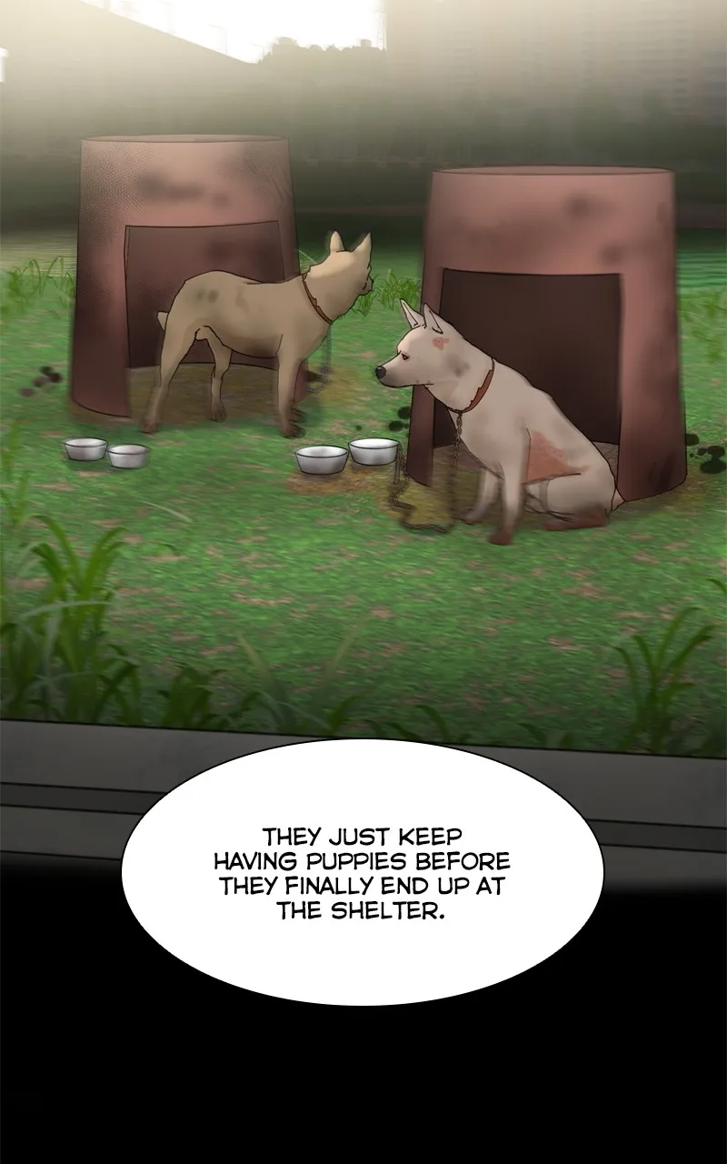 Read The Dog Diaries chapter 210 image 13 on Lezhin