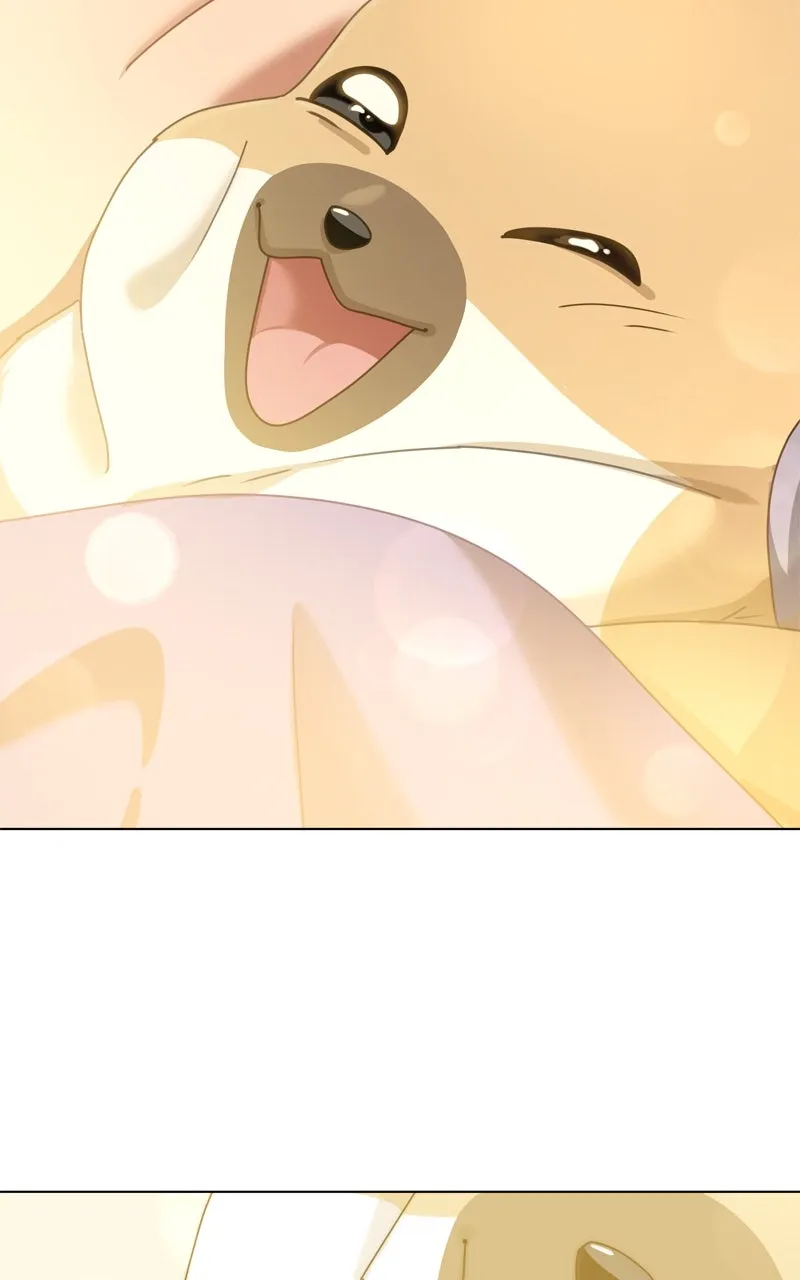 Read The Dog Diaries chapter 218 image 62 on Lezhin