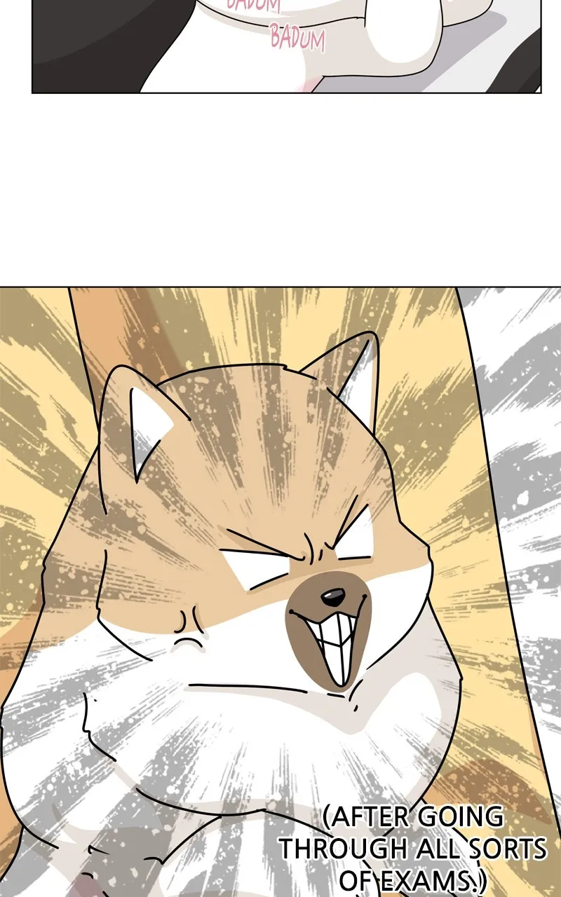 Read The Dog Diaries chapter 220 image 67 on Lezhin