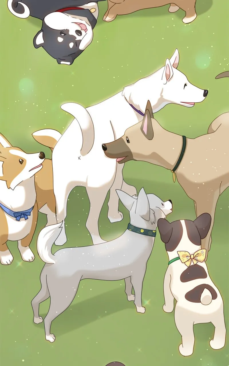 Read The Dog Diaries chapter 224 image 28 on Lezhin